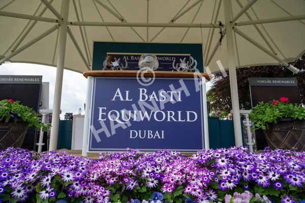 160524-Race 4-Economics-8002 - Race 4 3.45pm Al Basti Equiworld Dubai Dante Stakes