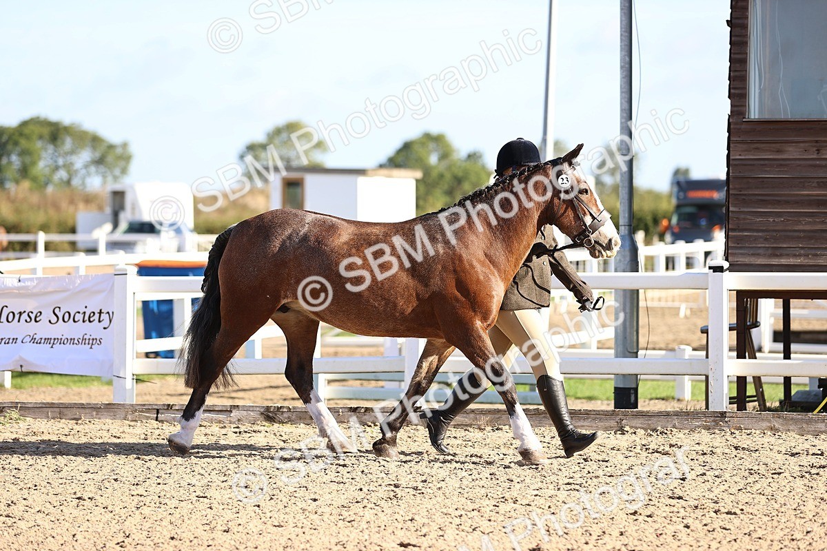 SBM_08412 - Class 402 - IH Veteran Pony