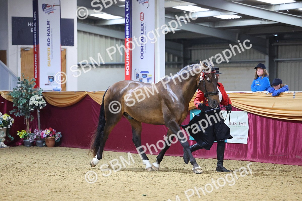 SBM_20787 - Class 902 - Supreme Final IH Veteran