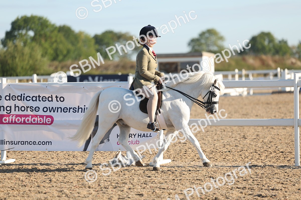 SBM_10894 - Class 301 - Ridden M&M Small Breeds