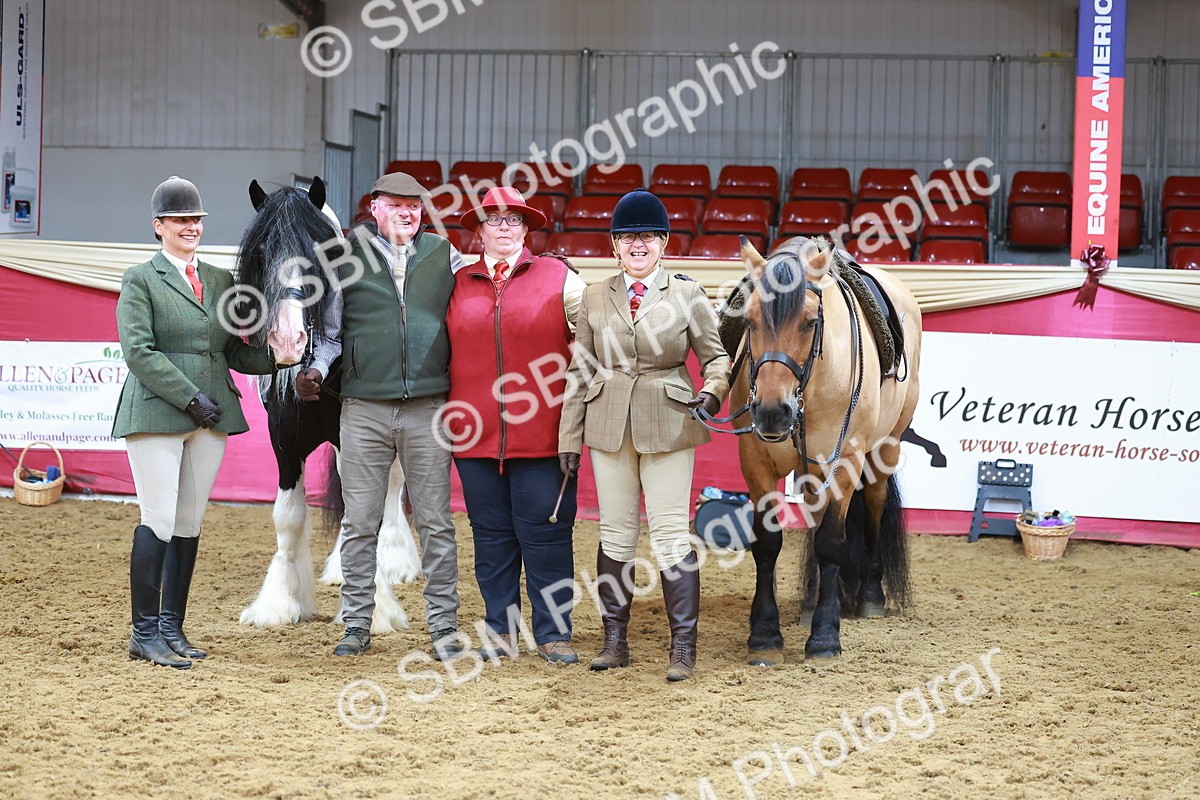 SBM_09545 - Class 102 - HOYS Veteran Qualifier - Ridden Veteran