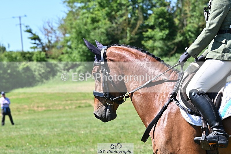 250522B-120607-01921 - 155-PEBBLES.GPH-Jo.Hayes