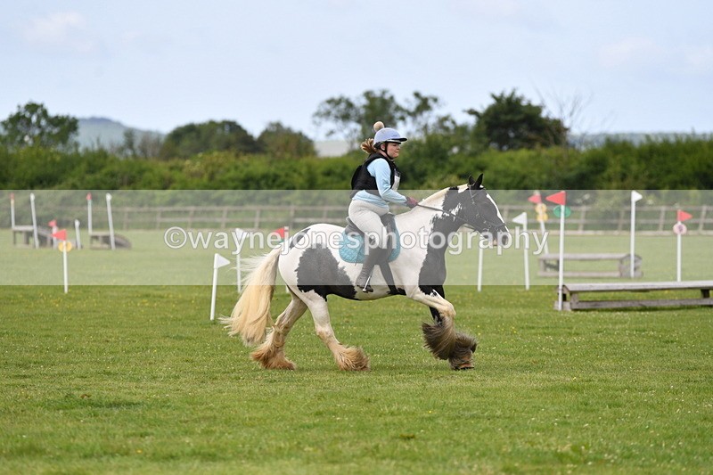 WJ5_2442 - Class 2 40cm