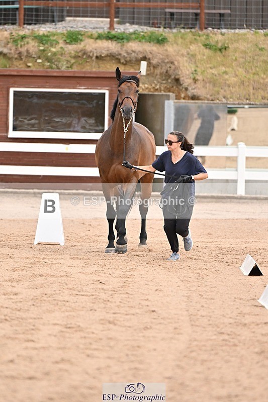 250716-151223-01755 - Trot Up 2.30 to 3.30