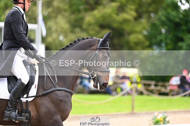 240524-093752-07925 - 507-DASSETT_ROCK_STAR-Tom_D_Crisp