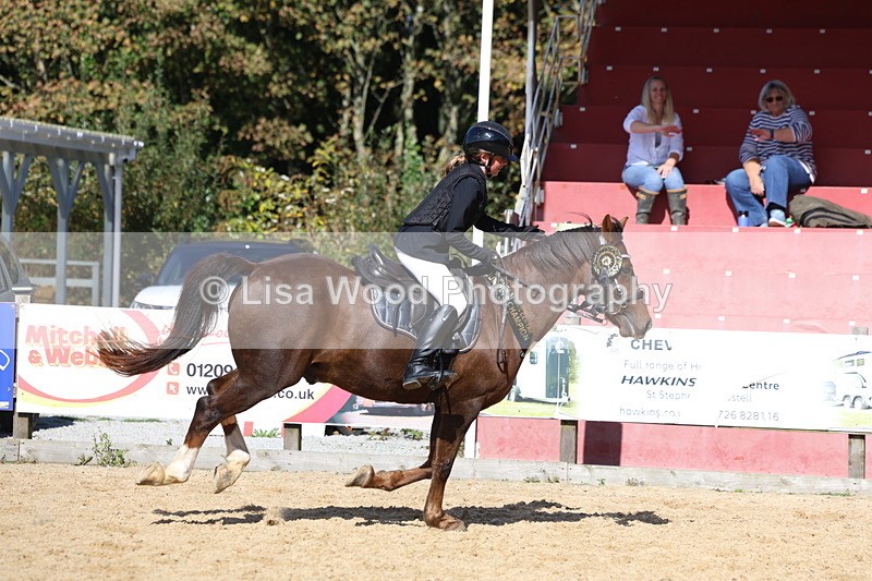 3E7A4859 - Class 8: 80cm Junior