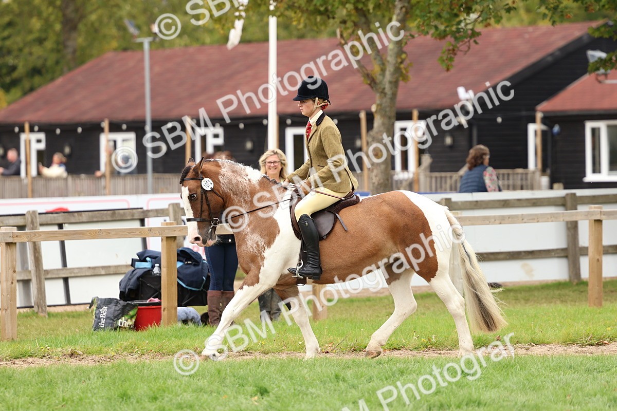 SBM_64557 - S58 - Coloured Pony Ridden