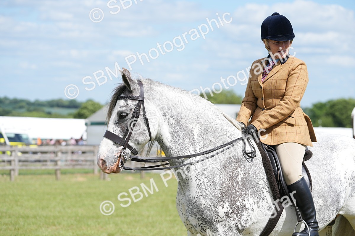 SBM_17253 - Class 107-108 - LIHS BSPS Performance Coloured Horse Pony