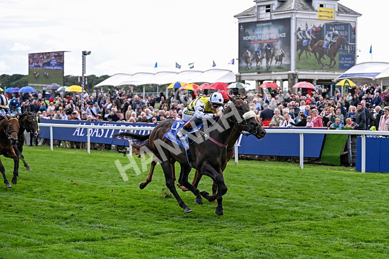 210826-Race 3-Arapaho Gold-5772 - Race 3 15.00pm Al Basti Equiworld Dubai Gimcrack Stakes