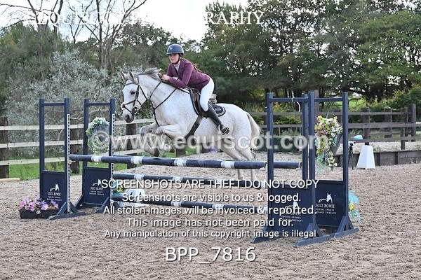 BPP_7816 - CLASS 14 Pony Newcomers/ 1m Open