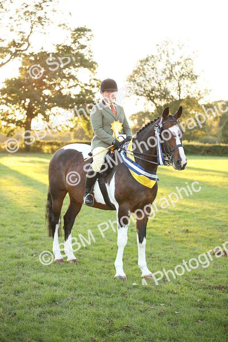 SBM_57076 - Veteran Supreme Championship