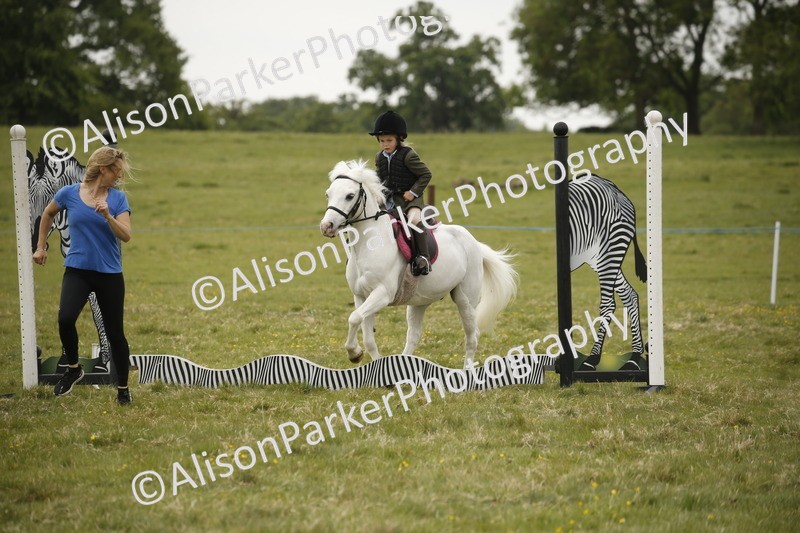 20250517-0982 - Class 2 - 30cm Off Lead Rein
