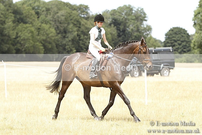 _BS_0987 - Working Hunter Championship BVRC Show 2018
