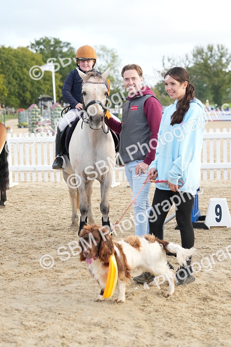 SBM_29240 - J43 - Horse & Hound Open 50cm