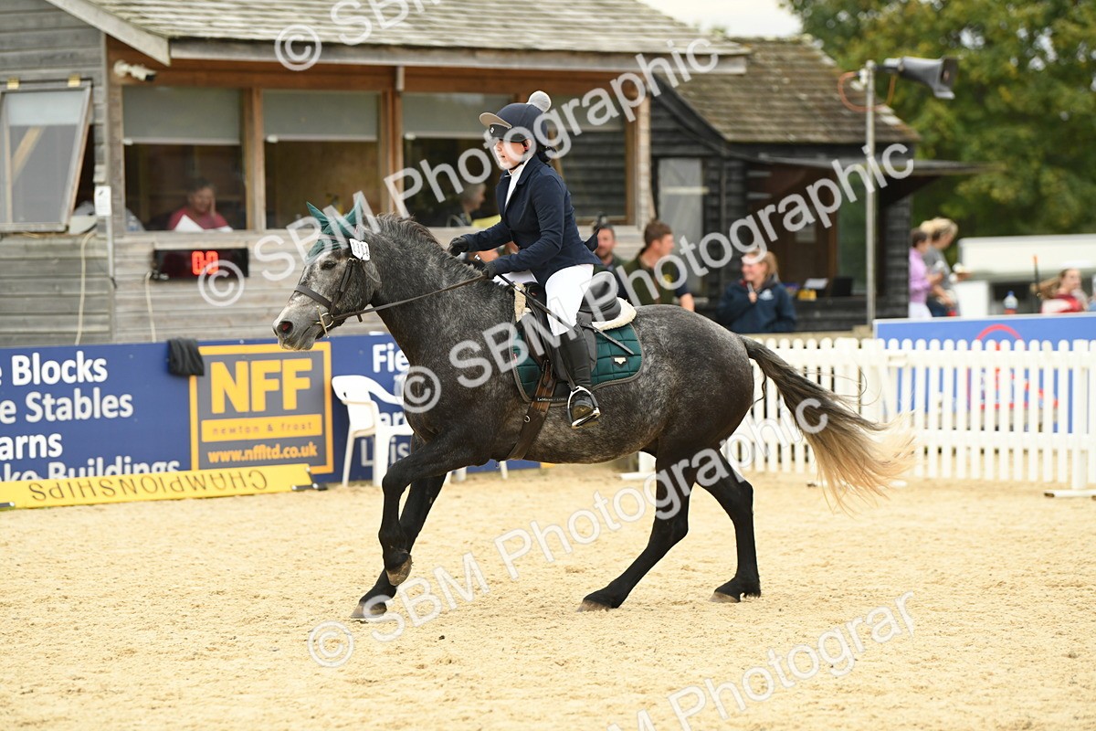 SBM_73059 - J16 - Junior Pony 75cm Championship