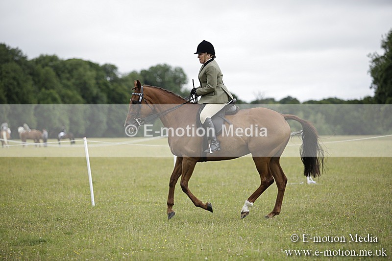 BVR160717-456 - Ring 1 BVRC Show 16/07/17