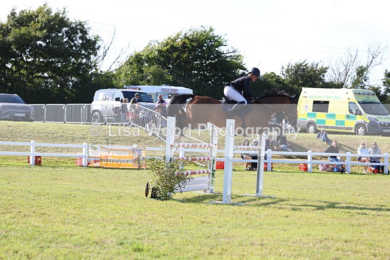3E7A4306 - Class C: Showjumping Senior Foxhunter