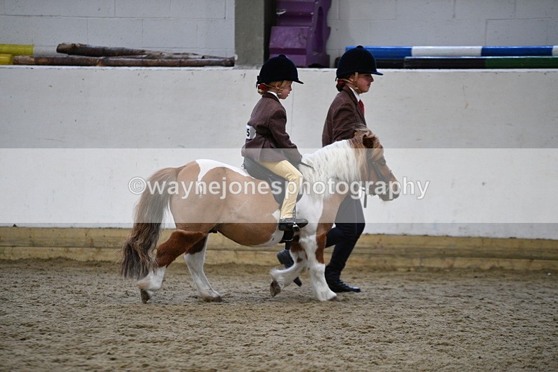 WJ5_6758 - Class 10 Childs Pony