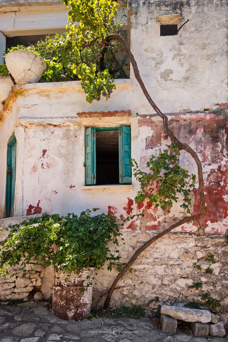 Growth - Crete - Crete