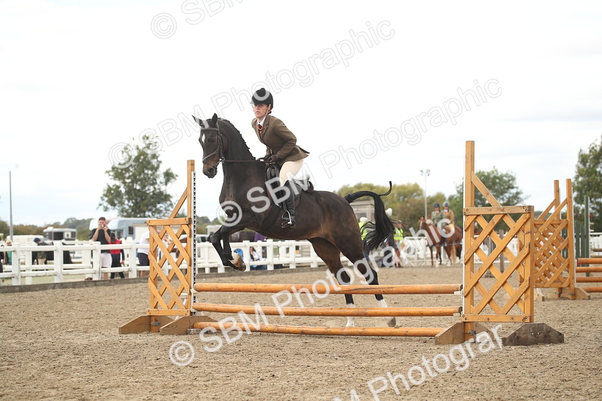 SBM_16745 - Class 507b - Working Veteran 60cm (20+)