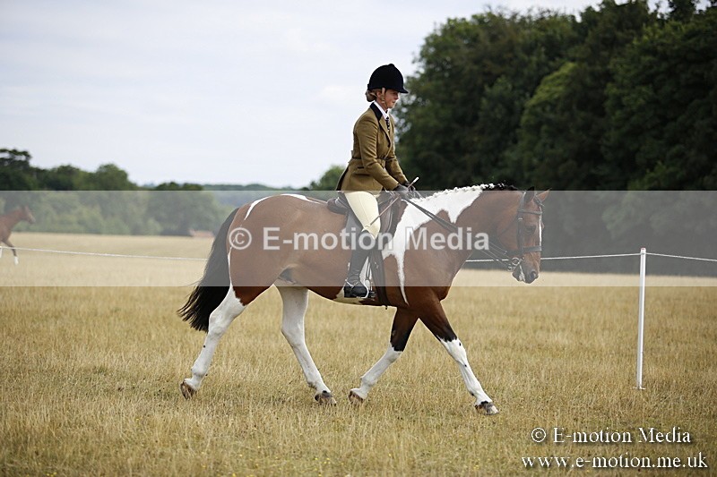 _C7A9469 - BVRC Show 2018 Ring 1