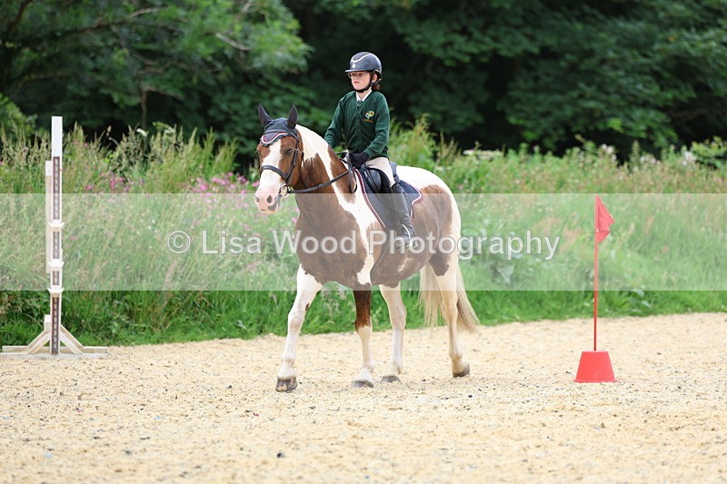 3E7A9407 - Walk trot run