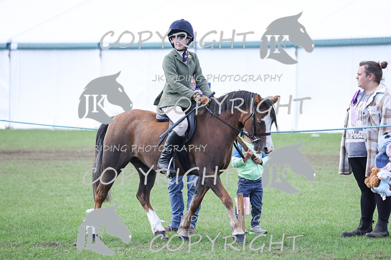 APP_4138 - Class 15a/b Pony club pony/Riding club horse