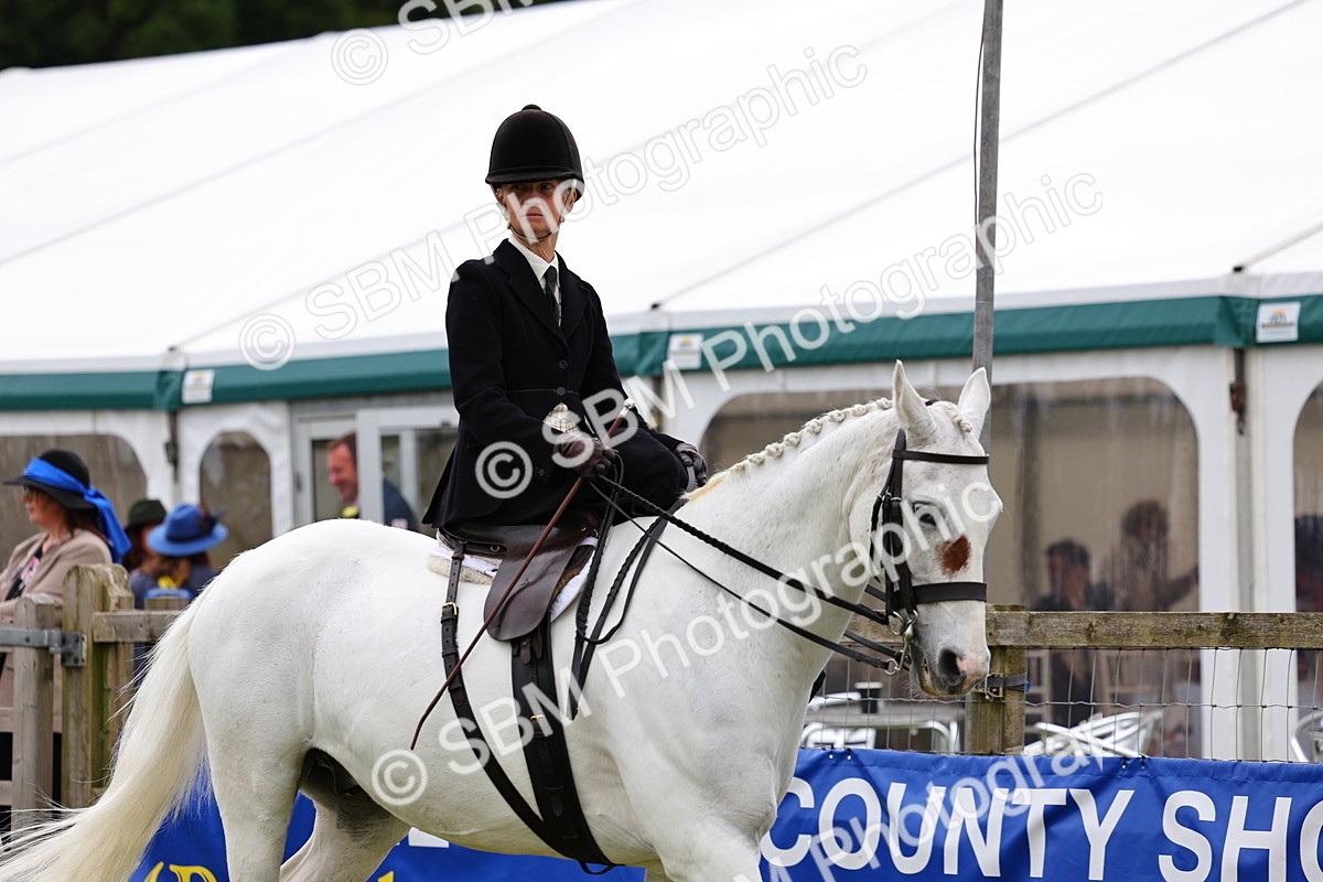 SBM_02851 - Class 9-11 Side Saddle including LIHS Rising Star Ladies Show Horse