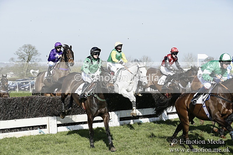 PtP 260317 243 - Mendip Farmers Point-to-Point Ston Easton 26/03/17