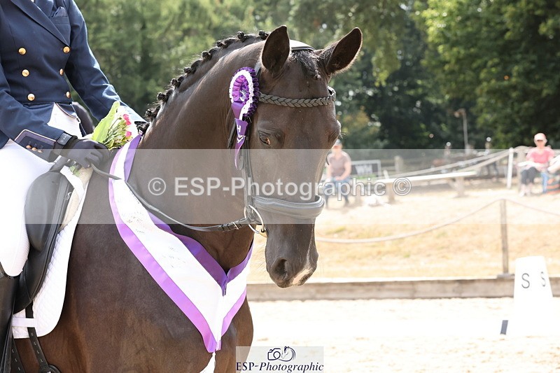 250809A-155418-04663 - Elementary SILVER Presentations
