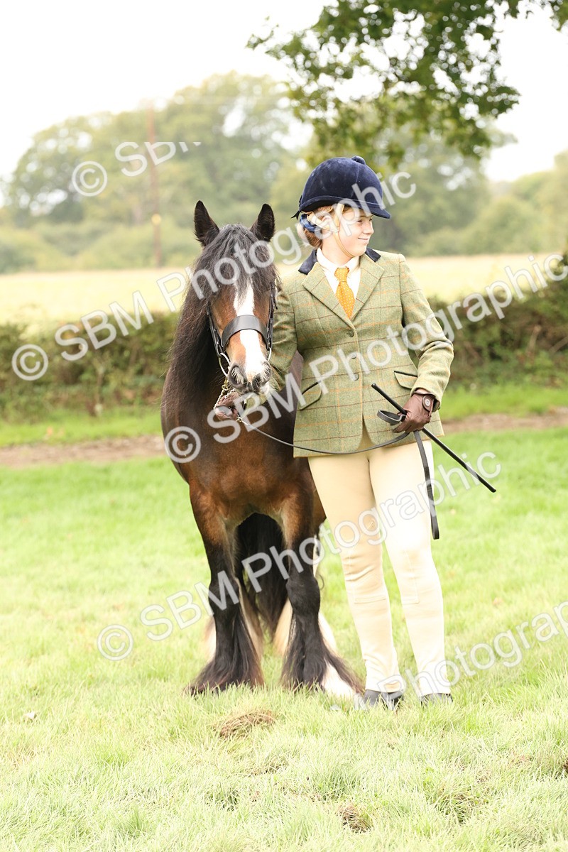 SBM_59319 - S57 - Traditional Cob In Hand