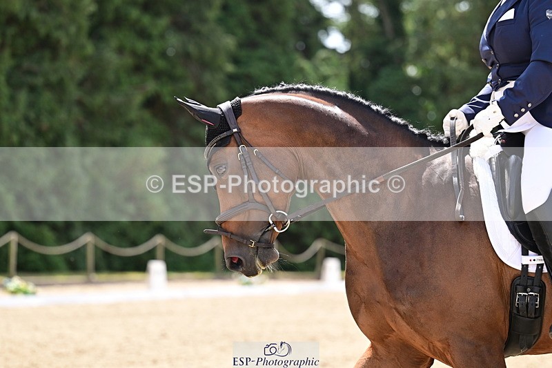 260802A-121001-06123 - Novice Silver break- end