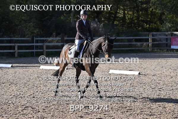 BPP_9274 - LONG ARENA
