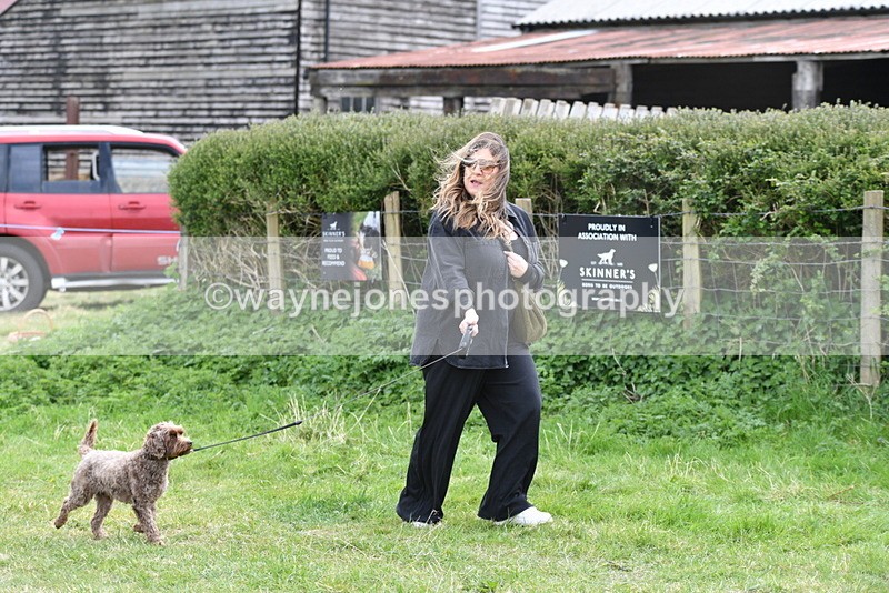 WJ5_9195 - Class 1 Best Cross Breed / Heniz 57