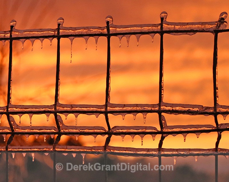 Wired Ice - Sunset/Moonrise