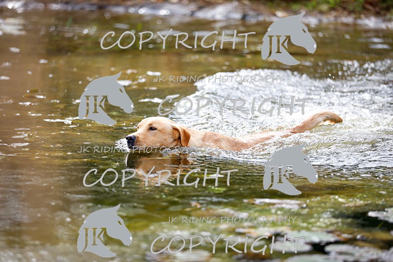 _R6A5512 - 8:30am - 11:20am