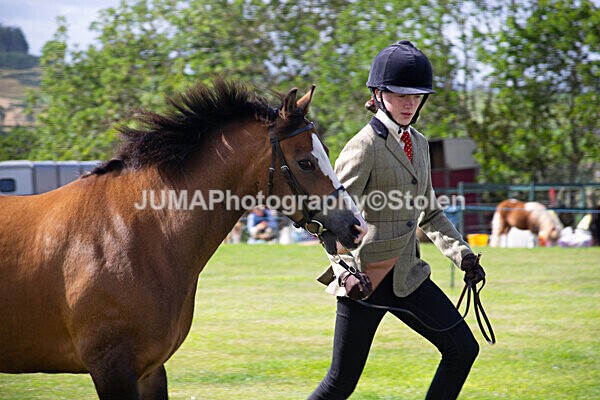 DSC_0340 - Ring 1