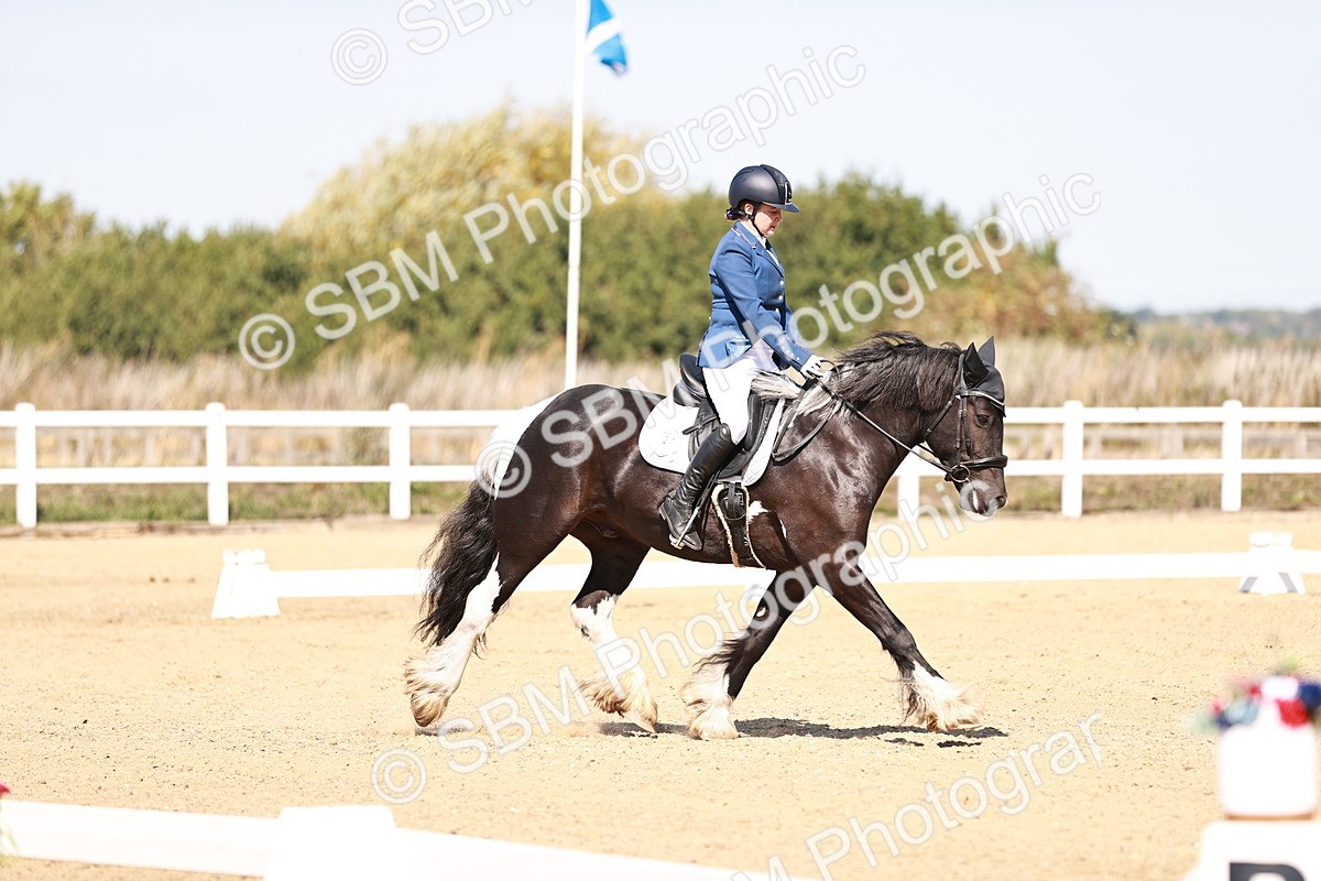 SBM_004595 - Class 12 - Novice 5 - 10.31-11.41