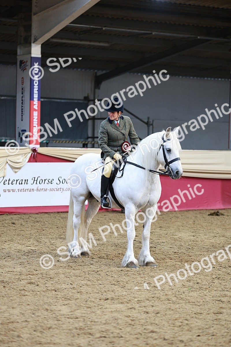 SBM_08685 - Regional Ridden Champ