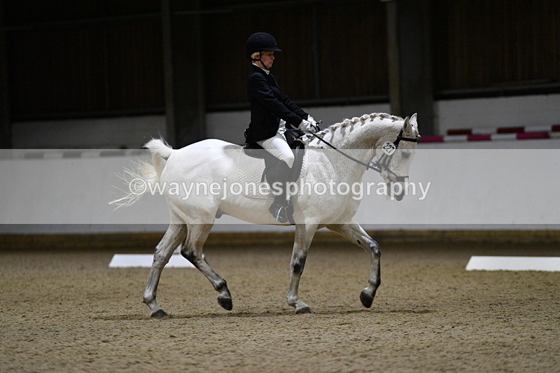 WJ5_8787 - Class 5 Novice Test 3