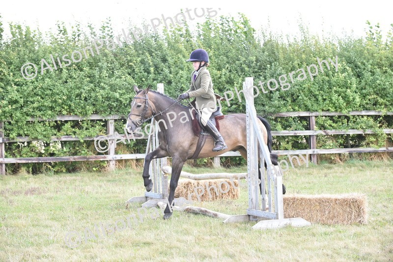 20250831-3963 - Class 12 - Working Hunter Pony 14.2hh and Under