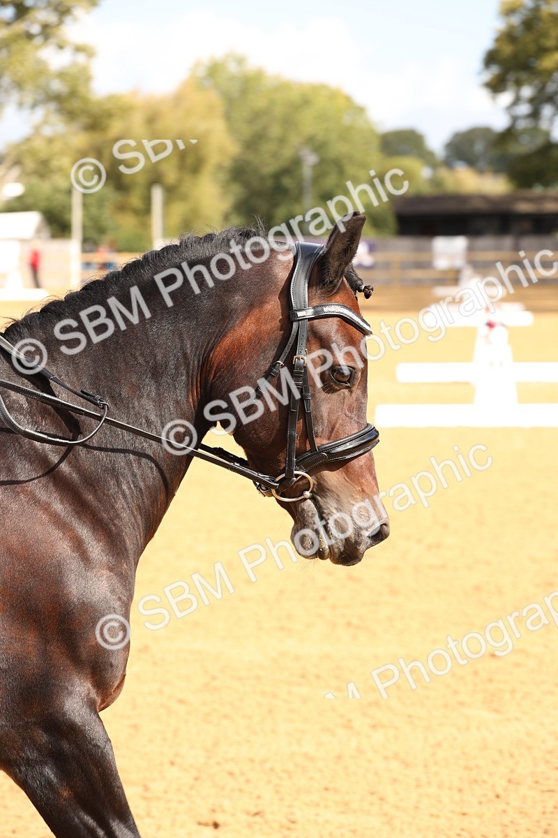 SBM_02161 - D10 - Small Tour Championship Prelim 2