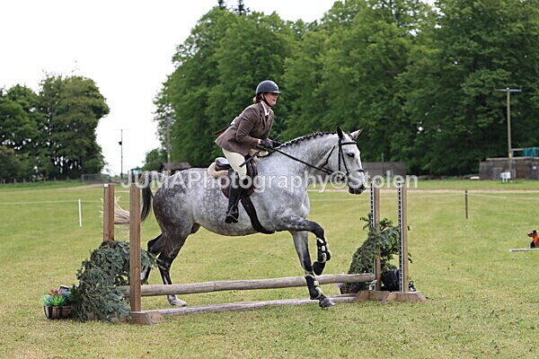 IMG_2743 - Working Hunter