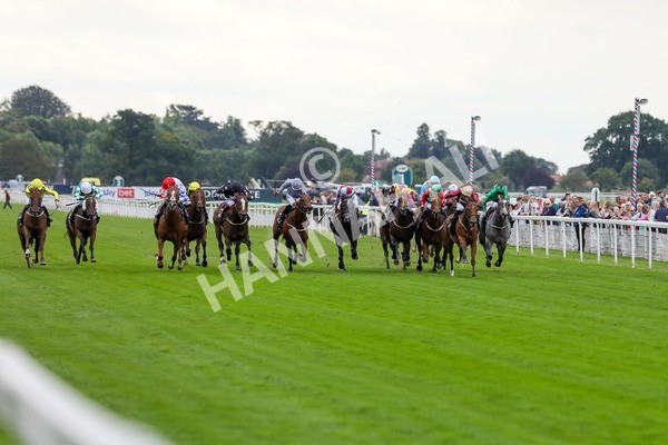 230823-Race 6-Designer-4551 - Race 6 4.45pm IRE Incentive, It Pays To Buy Irish Fillies' Handicap