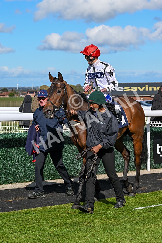 250424-Race 4-Classy Boy-1352 - Race 4