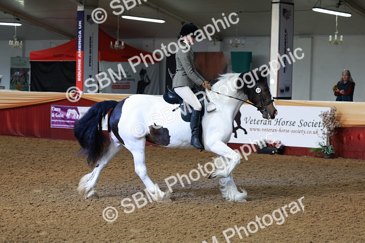 SBM_11956 - Class 102 - Equitation (Best Rider) Adult