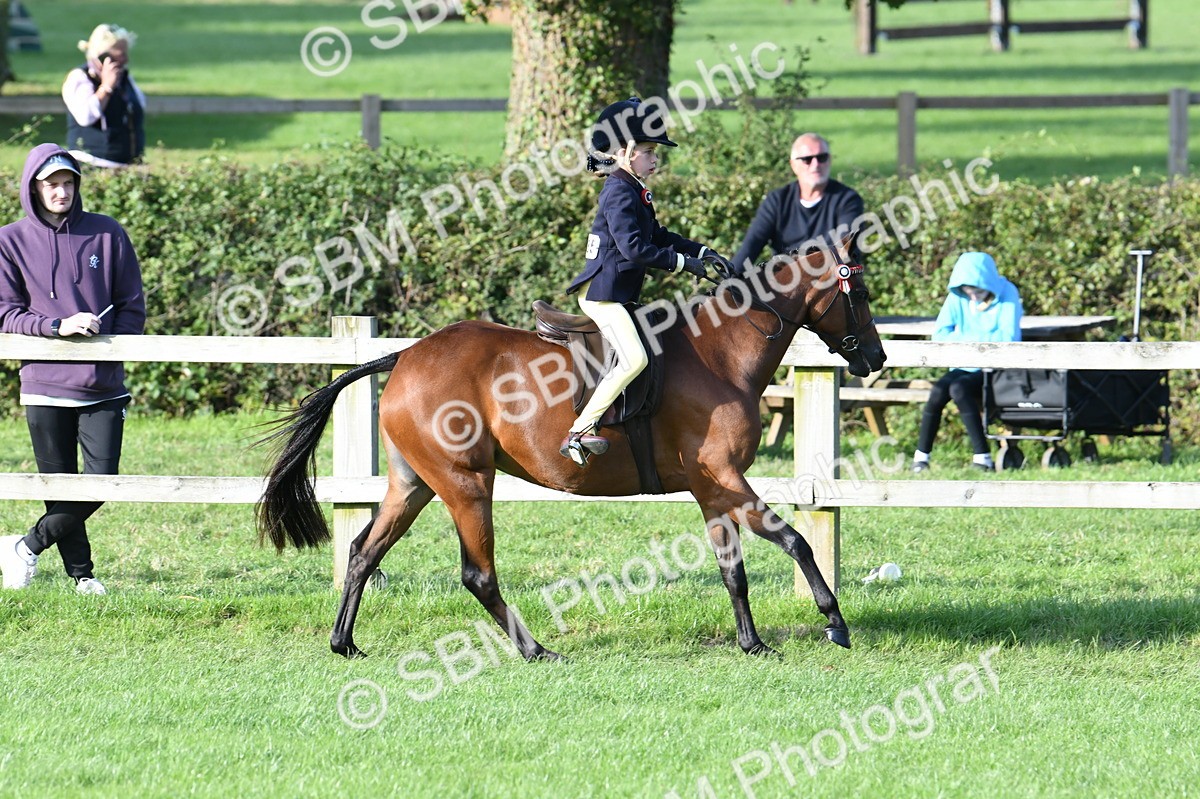 SBM_52405 - S22 - 1st Ridden Show & Show Hunter Pony