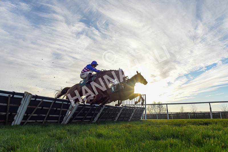 161225-Race 4-Noonetellsmenothin-7685 - Race 4