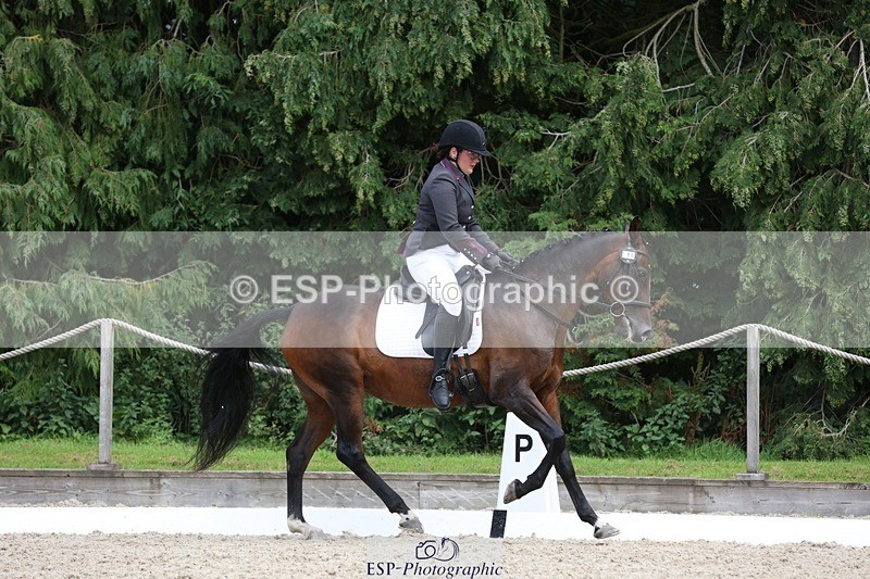 230812-135718-04347 - Cls 5 Novice Bronze 13.40 to 14.45 break