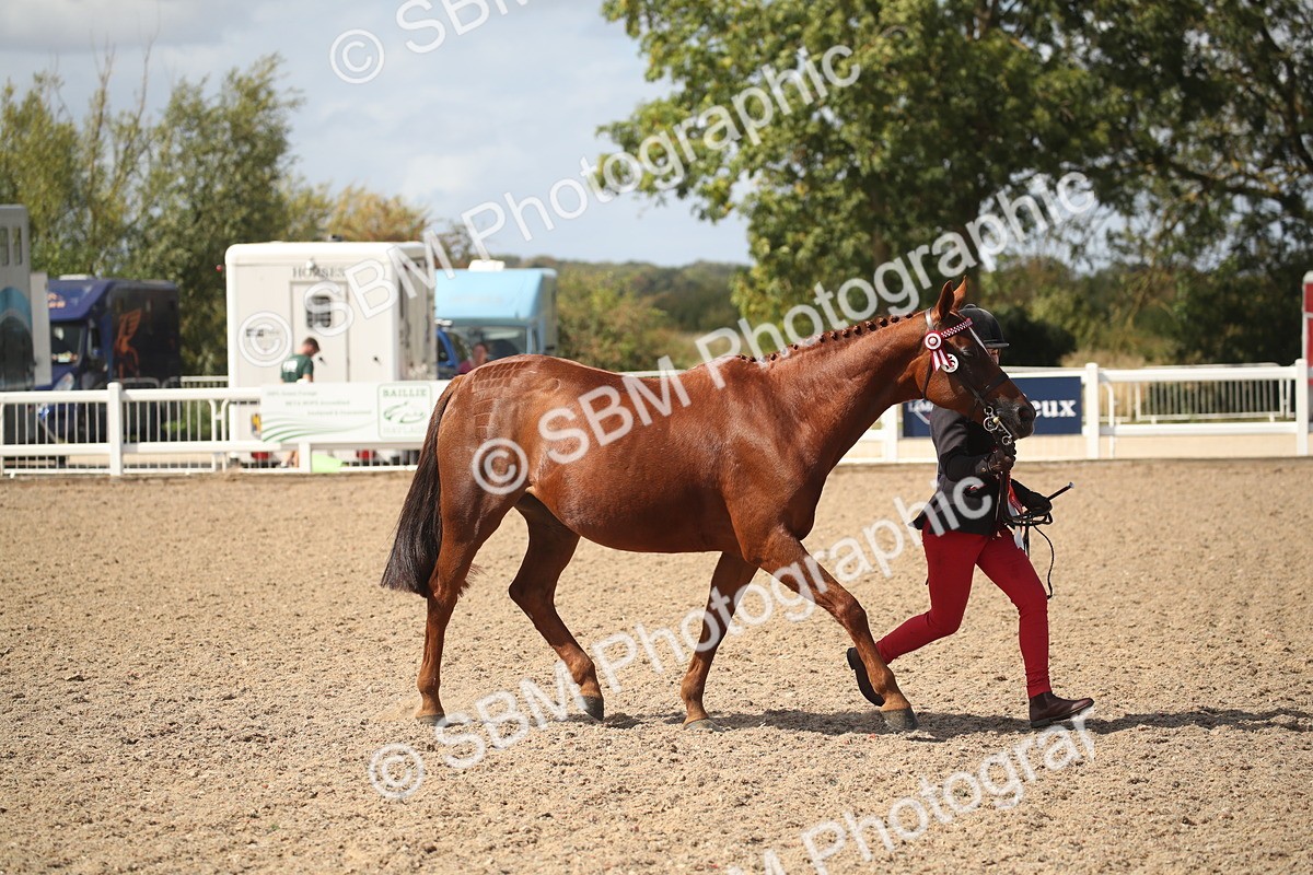 SBM_23175 - Class 606 - 2026 - Area - IH Pre Vet